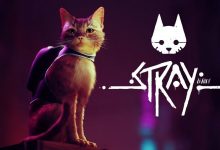 Stray