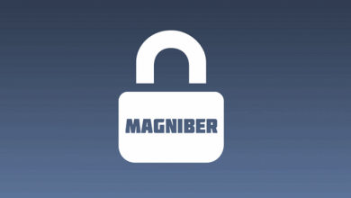 باج افزار Magniber