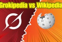 سخنان جنجالی بنیانگذار ویکی‌پدیا بر علیه گروکی‌پدیا ایلان ماسک